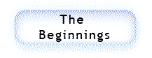 Beginnings